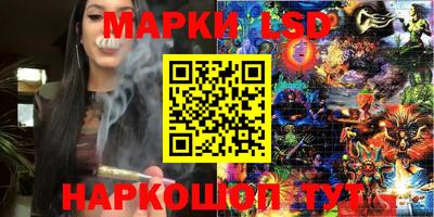 гашик Новодвинск