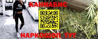 гашик Новодвинск