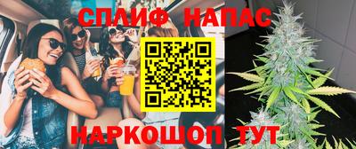 гашик Новодвинск
