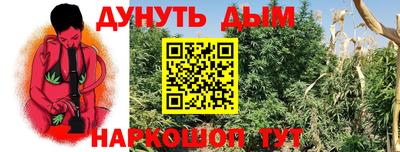 стафф Новозыбков