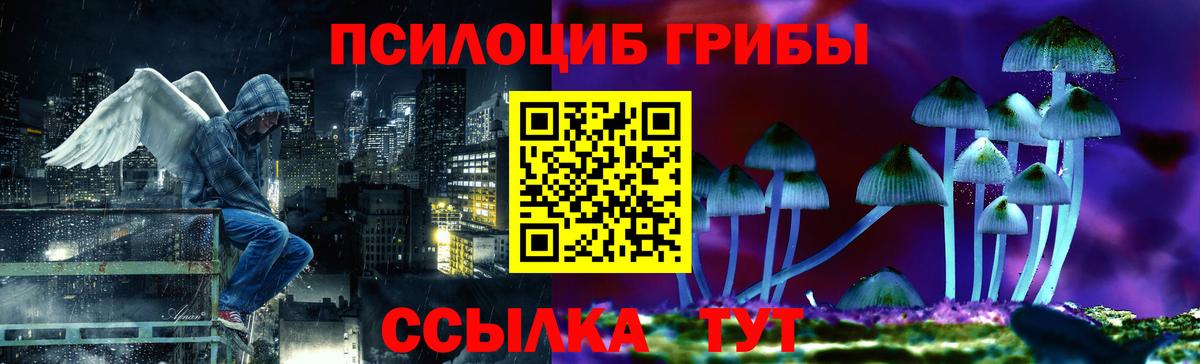 Псилоцибиновые грибы MAGIC MUSHROOMS  Вход с VPN  Владивосток 