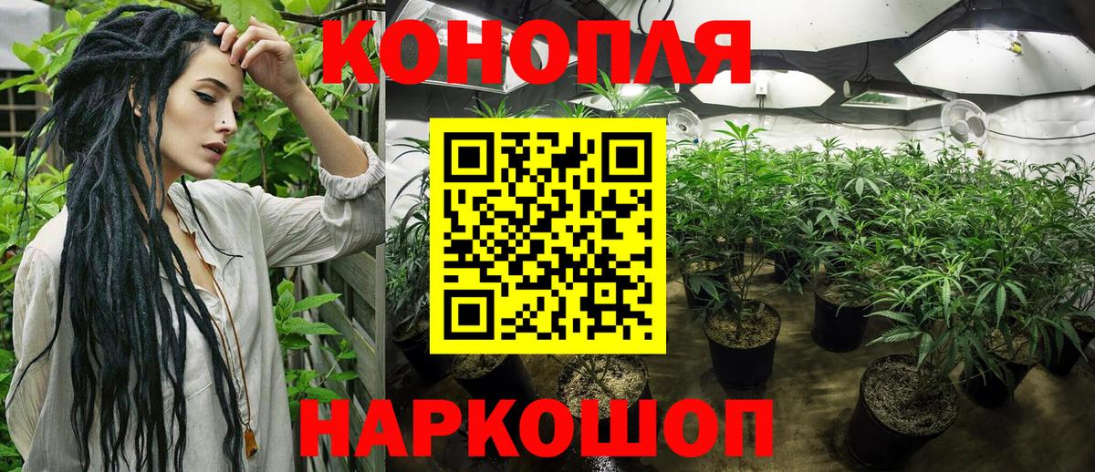 Шишки марихуана ГИДРОПОН  Конопля конопля  Вход с VPN  Канабис семена  Конопля MAZAR  Владивосток 